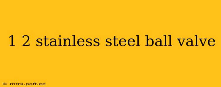 1 2 stainless steel ball valve