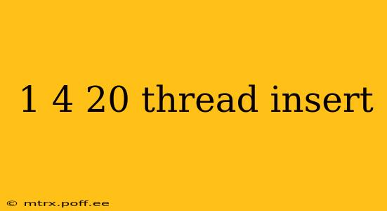 1 4 20 thread insert