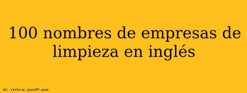 100 nombres de empresas de limpieza en inglés