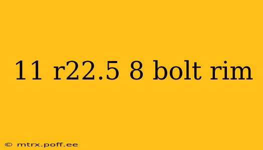 11 r22.5 8 bolt rim
