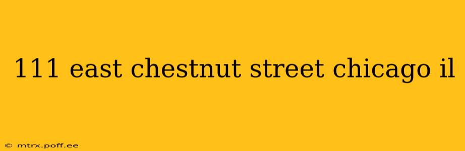 111 east chestnut street chicago il