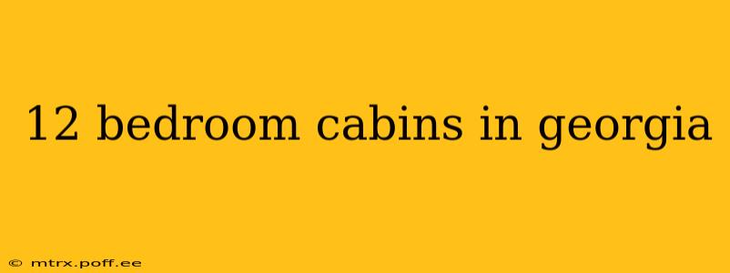 12 bedroom cabins in georgia