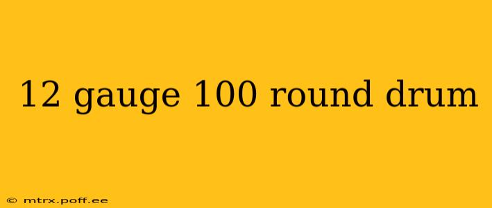 12 gauge 100 round drum