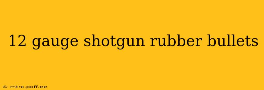 12 gauge shotgun rubber bullets