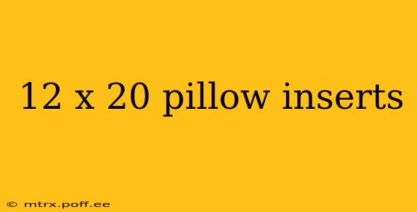 12 x 20 pillow inserts