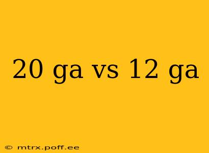 20 ga vs 12 ga
