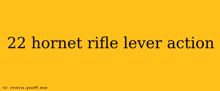 22 hornet rifle lever action