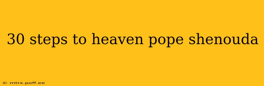 30 steps to heaven pope shenouda