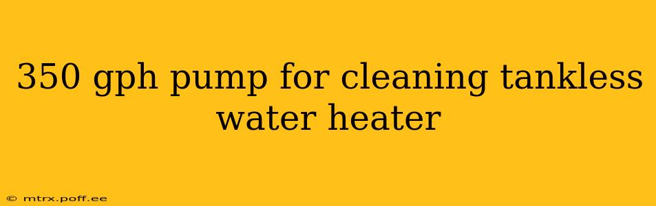 350 gph pump for cleaning tankless water heater