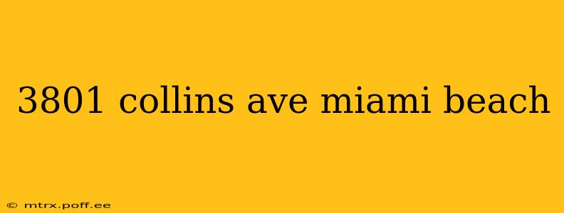 3801 collins ave miami beach