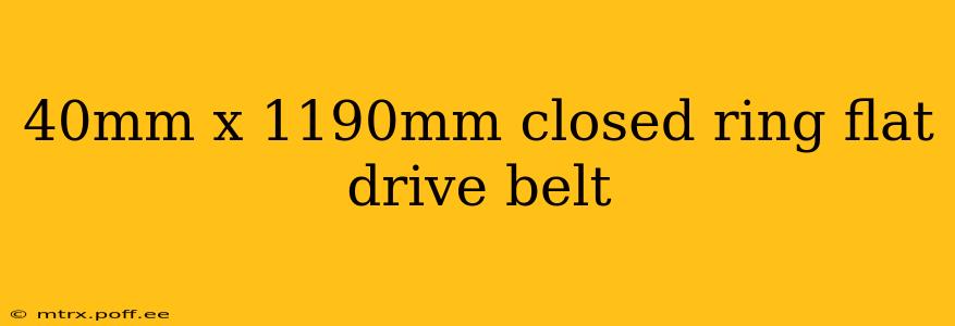 40mm x 1190mm closed ring flat drive belt