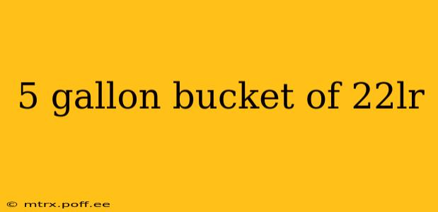 5 gallon bucket of 22lr