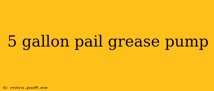5 gallon pail grease pump