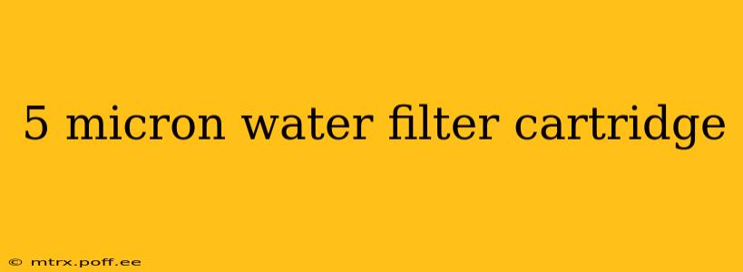 5 micron water filter cartridge