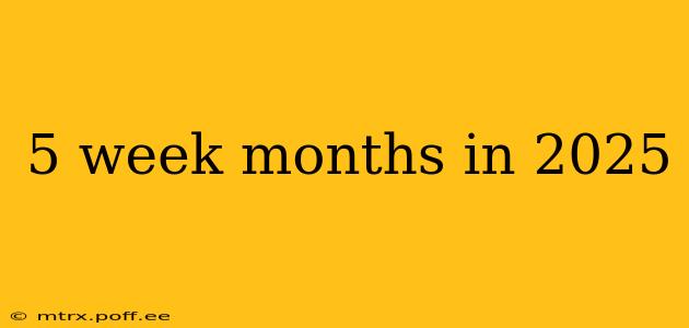 5 week months in 2025