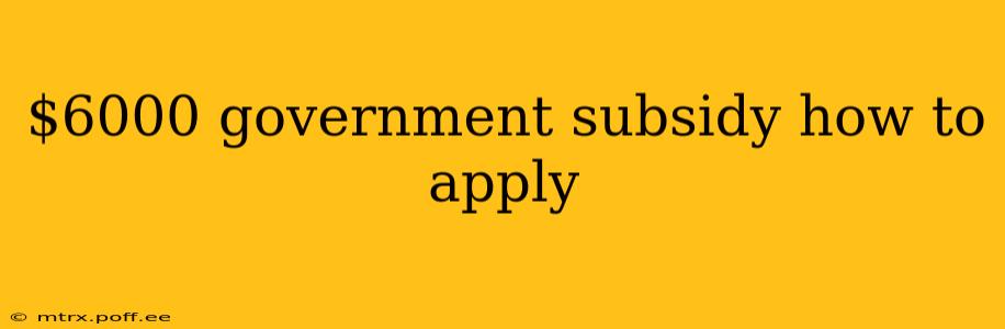 $6000 government subsidy how to apply