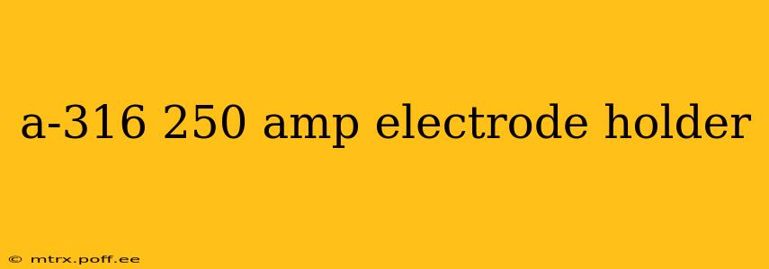 a-316 250 amp electrode holder