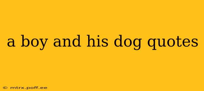 a boy and his dog quotes