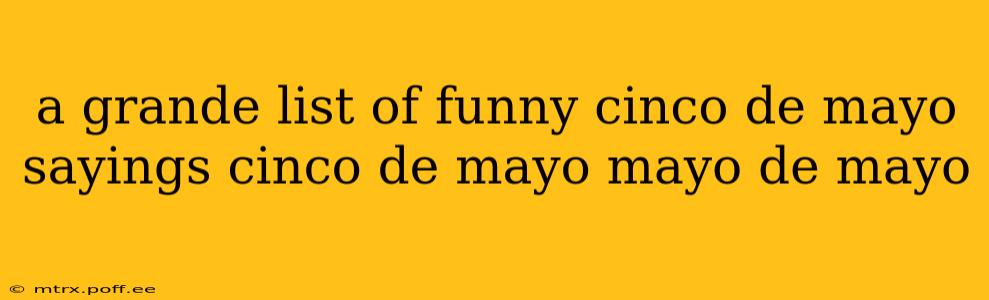 a grande list of funny cinco de mayo sayings cinco de mayo mayo de mayo