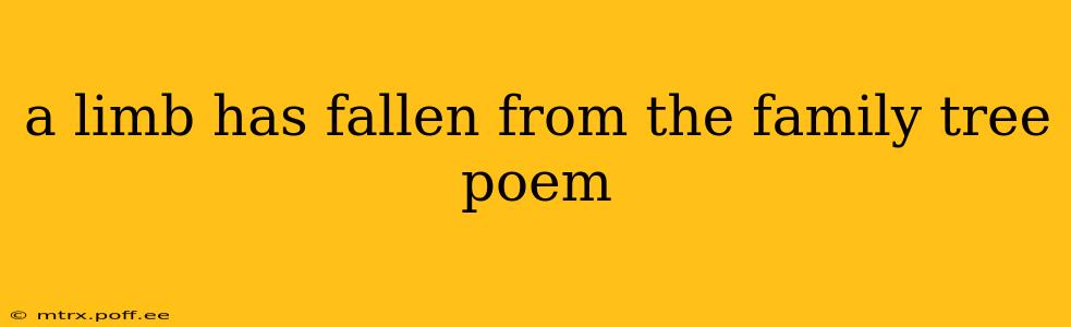 a limb has fallen from the family tree poem