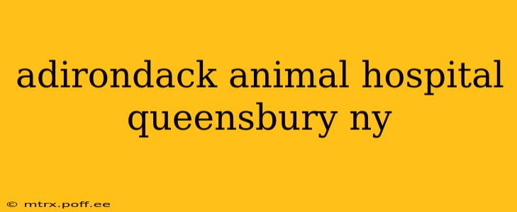 adirondack animal hospital queensbury ny