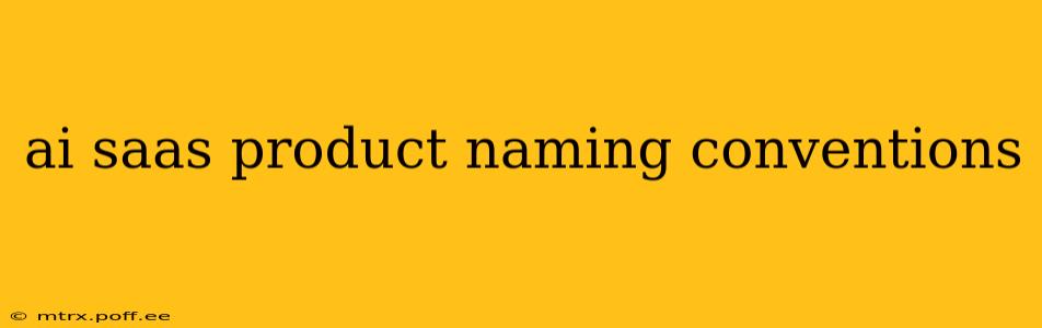 ai saas product naming conventions