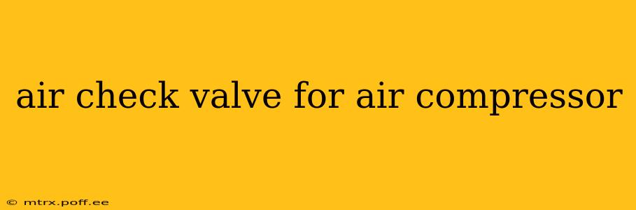 air check valve for air compressor