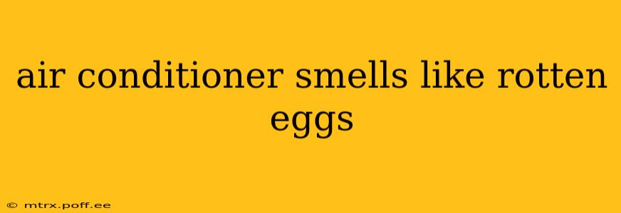 air conditioner smells like rotten eggs