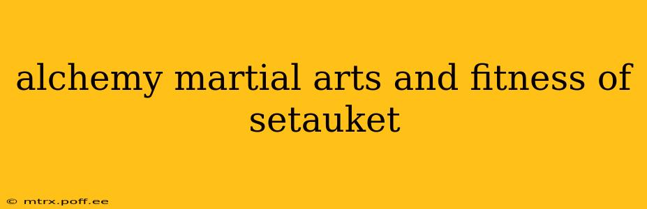 alchemy martial arts and fitness of setauket