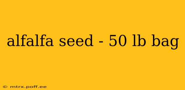 alfalfa seed - 50 lb bag