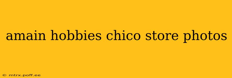 amain hobbies chico store photos