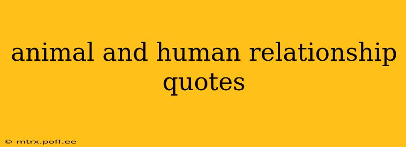 animal and human relationship quotes