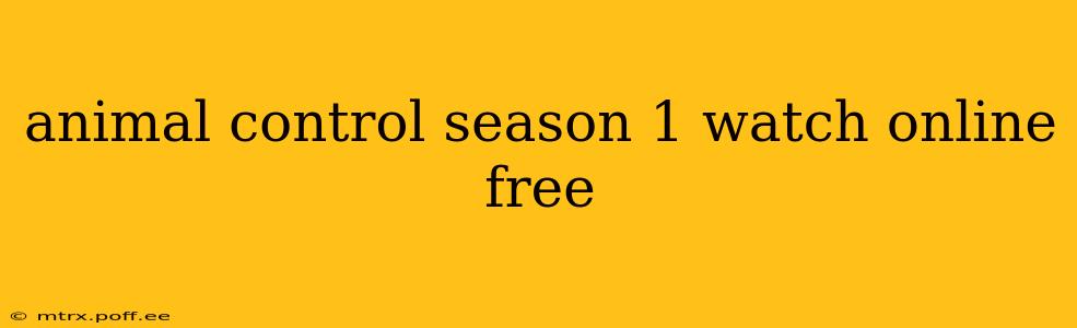 animal control season 1 watch online free