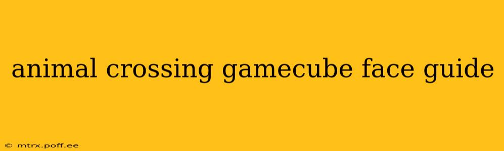 animal crossing gamecube face guide