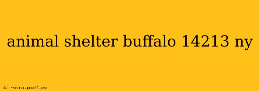 animal shelter buffalo 14213 ny