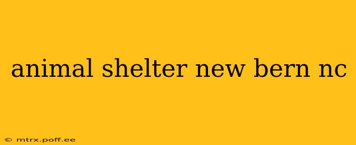 animal shelter new bern nc