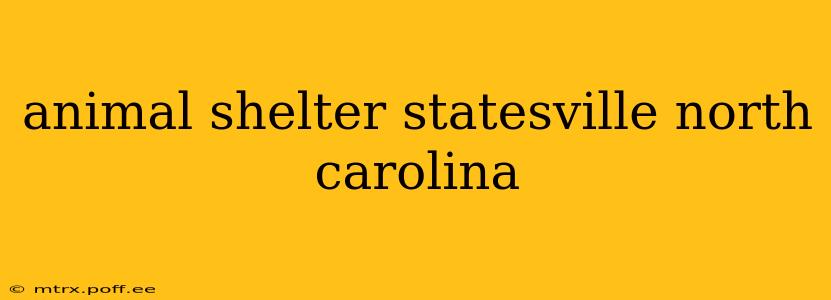 animal shelter statesville north carolina