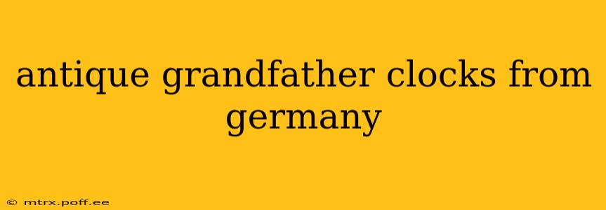 antique grandfather clocks from germany
