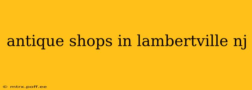 antique shops in lambertville nj