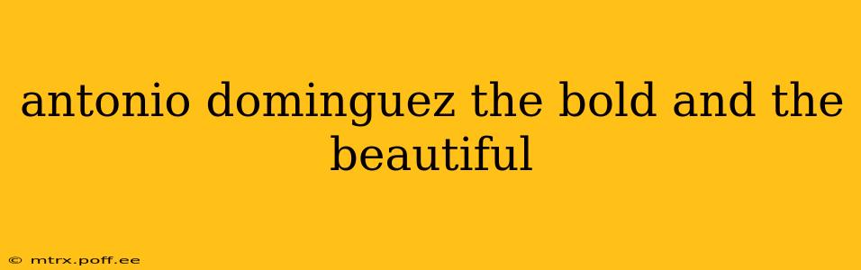 antonio dominguez the bold and the beautiful