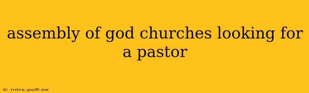 assembly of god churches looking for a pastor