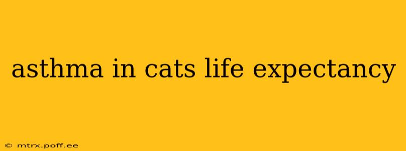 asthma in cats life expectancy