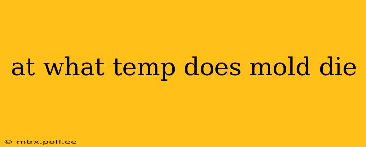 at what temp does mold die