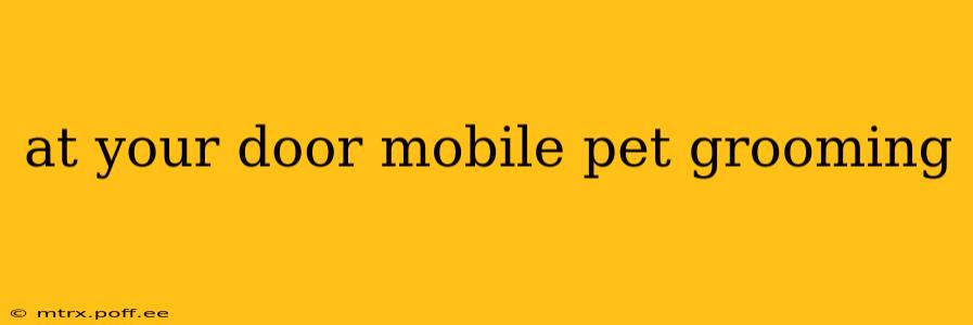 at your door mobile pet grooming
