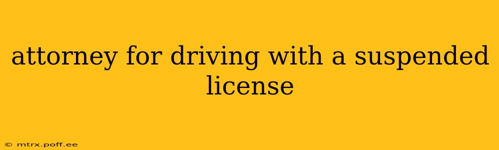 attorney for driving with a suspended license