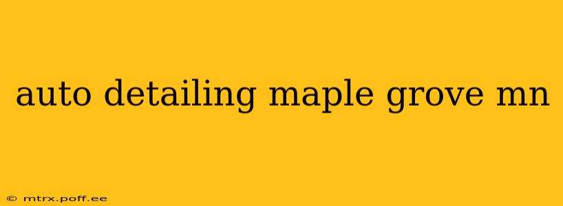 auto detailing maple grove mn