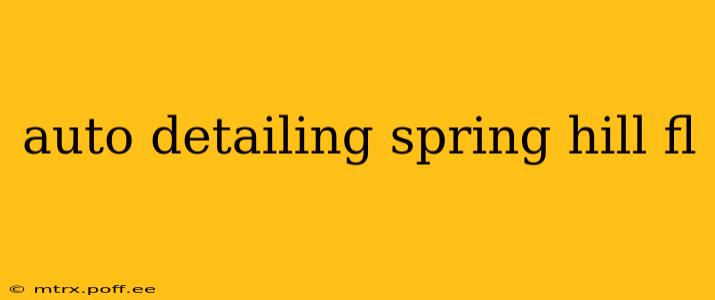 auto detailing spring hill fl