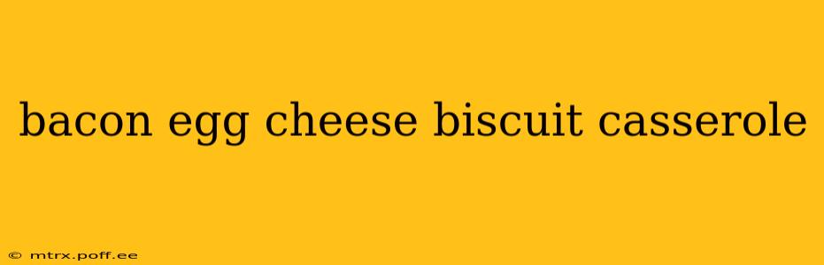 bacon egg cheese biscuit casserole