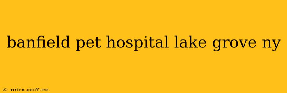 banfield pet hospital lake grove ny