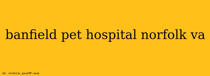 banfield pet hospital norfolk va